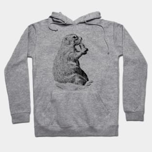 Prairie dog Hoodie